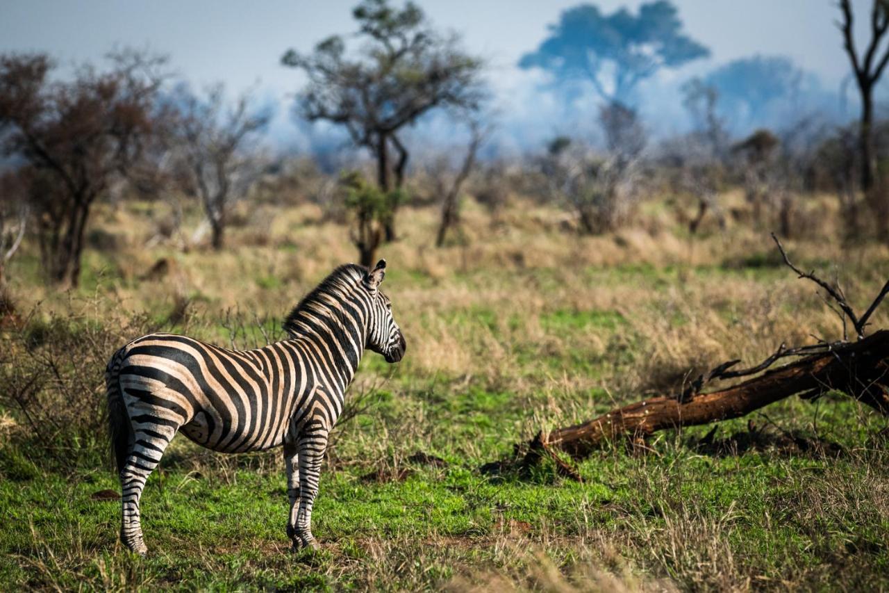 Nkuhlu Tented Camp Skukuza Exterior foto