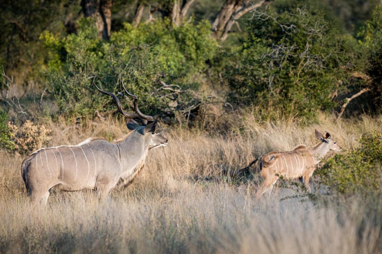 Nkuhlu Tented Camp Skukuza Exterior foto